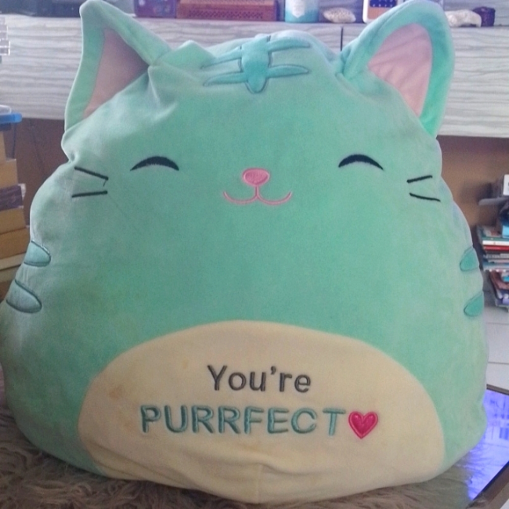 💝💝💝 SQUISHMALLOWS
